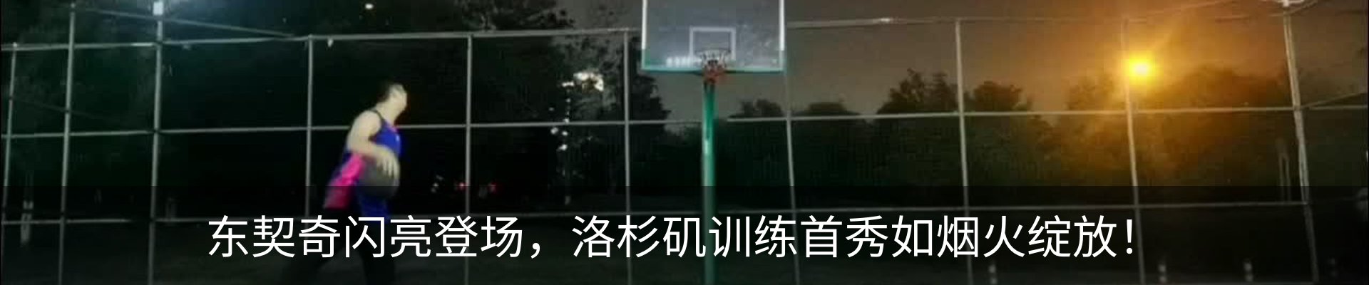新闻动态