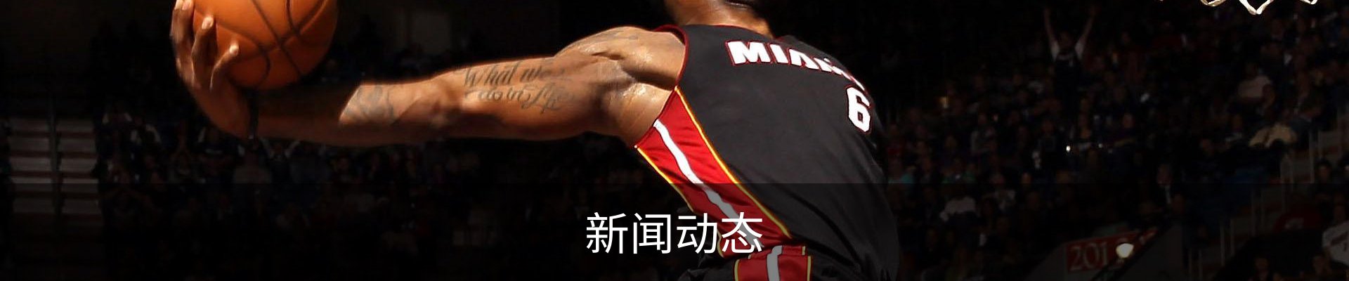 新闻动态