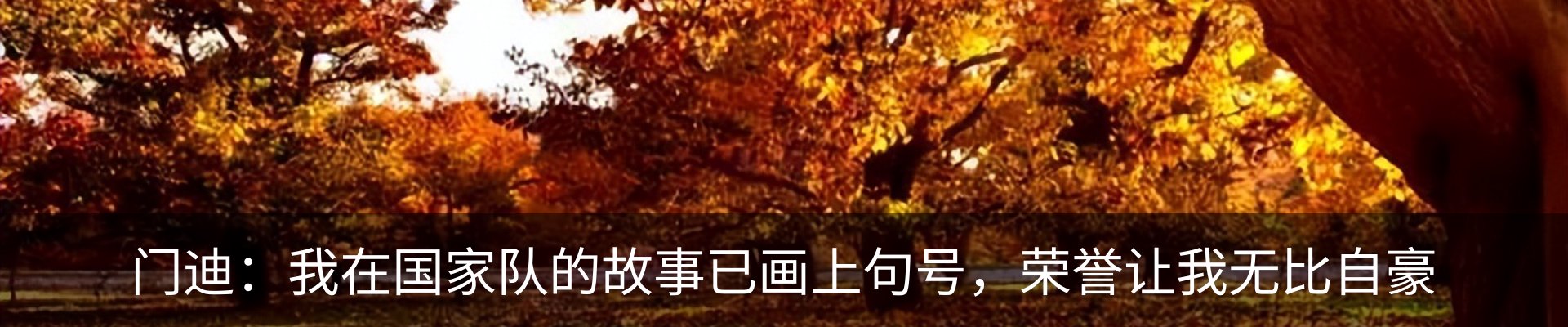 新闻动态